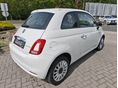 FIAT 500 2021/5 - 3