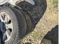 BMW 318 2002/12 - 5