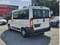 FIAT DUCATO 2009/10 - 5