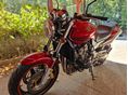 HONDA CB 900 F (HORNET) 2005/5 - 3