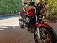 HONDA CB 900 F (HORNET) 2005/5 - 4