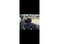 HONDA NT 1100 D 2022/3 - 5