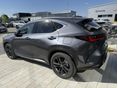 LEXUS NX 2026/3 - 4