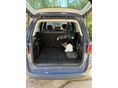 FIAT 500L 2019 - 7
