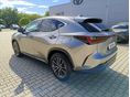 LEXUS NX 2026/2 - 4