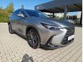 LEXUS NX 2026/2 - 2