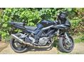 SUZUKI SV s