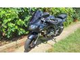 SUZUKI SV 2006 - 6