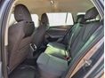 SKODA OCTAVIA 2023/5 - 8