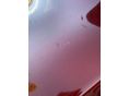 RENAULT CLIO 2016/12 - 11