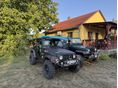 JEEP WRANGLER 1998/1 - 3