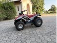 YAMAHA YFA 1 1994/3 - 3
