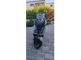 HONDA FORZA 350 2021/8 - 2
