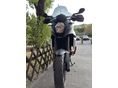 KTM 990 SUPERMOTO 2009 - 3