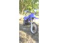 YAMAHA PW 80 2003/12 - 7