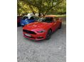 FORD MUSTANG Fastback 3.7 V6