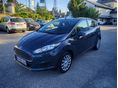 FORD FIESTA 2013/5 - 1
