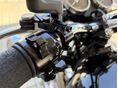 KAWASAKI W 800 2025/6 - 5