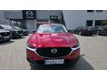 MAZDA CX-30 2.5 e-Skyactive Homura (Automata) Magyar 1 tulaj vezetett szervizkönyves téli-nyári gumikkal GARANCIÁLIS!