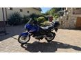 SUZUKI XF 650 (FREEWIND) 