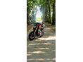 YAMAHA MT-09 2014/12 - 4