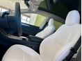 TESLA MODEL Y 2022/8 - 9