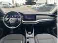 SKODA OCTAVIA 2021/4 - 7