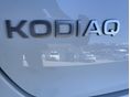 SKODA KODIAQ 2026/9 - 9