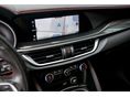 ALFA ROMEO STELVIO 2021/8 - 13