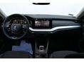 SKODA OCTAVIA 2024/8 - 7