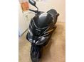 HONDA FORZA MF08