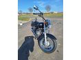 SUZUKI GZ 250 (MARAUDER) 2006/9 - 5