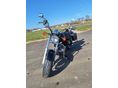 SUZUKI GZ 250 (MARAUDER) 2006/9 - 6