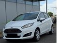 FORD FIESTA 2013/3 - 1