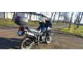 TRIUMPH TIGER 1998/12 - 5
