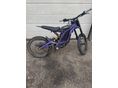 SUR-RON LIGHT BEE X 2024/7 - 2