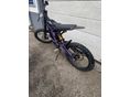 SUR-RON LIGHT BEE X 2024/7 - 3