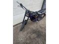 SUR-RON LIGHT BEE X 2024/7 - 4