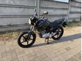 YAMAHA YBR 125 2014 - 6