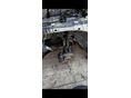 FORD FOCUS 2010/10 - 10