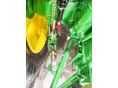 JOHN DEERE 2026 - 30