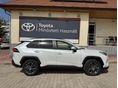 TOYOTA RAV 4 2023/11 - 2