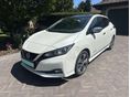 NISSAN LEAF 2018/9 - 1