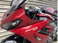 TRIUMPH DAYTONA 2025/4 - 4