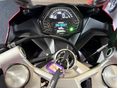 TRIUMPH DAYTONA 2025/4 - 6