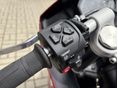 TRIUMPH DAYTONA 2025/4 - 7