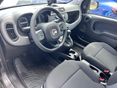 FIAT PANDA 2019/4 - 7