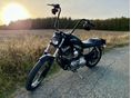 HARLEY-DAVIDSON SPORTSTER 1200 CUSTOM 2001/1 - 2