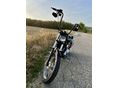 HARLEY-DAVIDSON SPORTSTER 1200 CUSTOM 2001/1 - 3