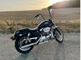 HARLEY-DAVIDSON SPORTSTER 1200 CUSTOM 2001/1 - 7